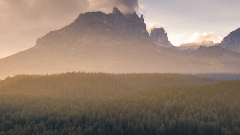 Bedroom - professional stock photography