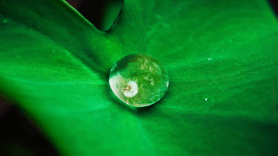 Candle - professional stock photography