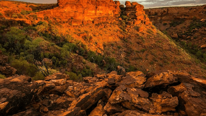 Curtain - professional stock photography
