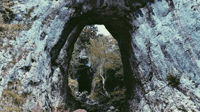 Cushion - professional stock photography