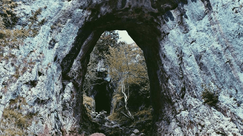 Cushion - professional stock photography
