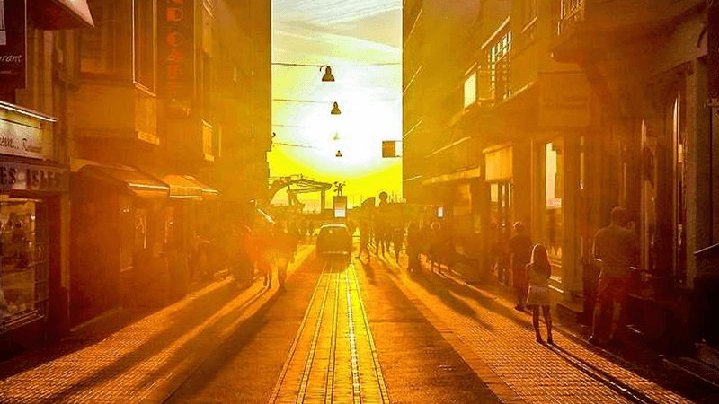 Garden - professional stock photography