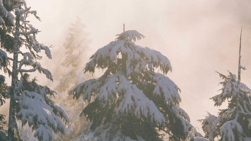 Kitchen Design - professional stock photography