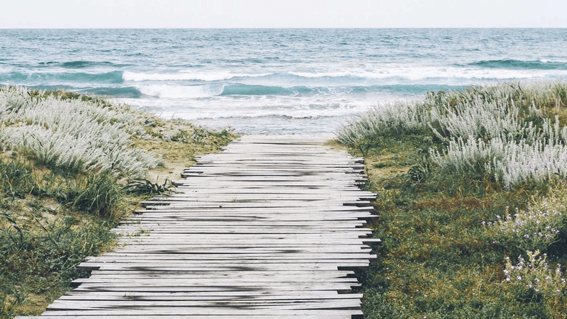 Painting - professional stock photography