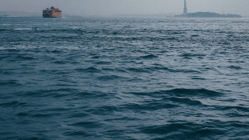 Plants - professional stock photography