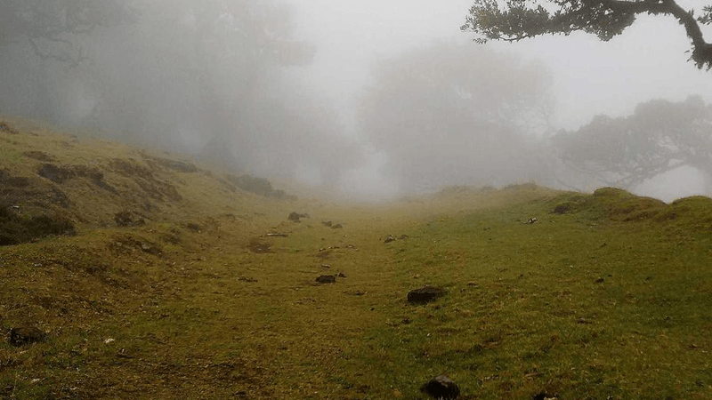 Rug - professional stock photography