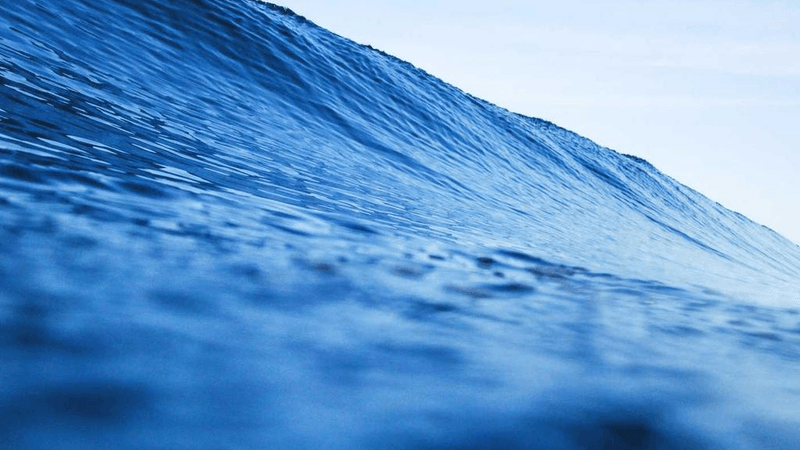 Rug - professional stock photography