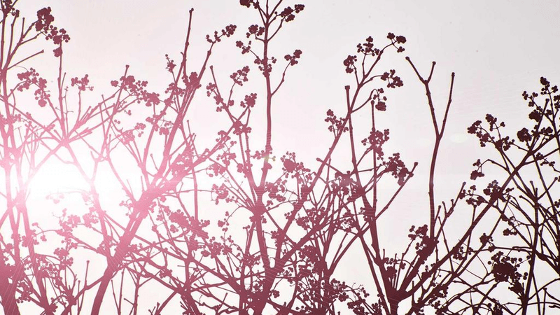 Sofa - professional stock photography