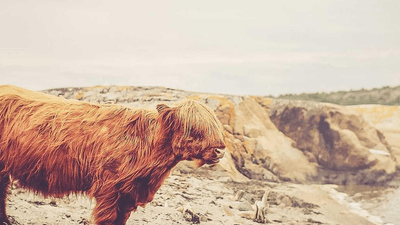 Table - professional stock photography