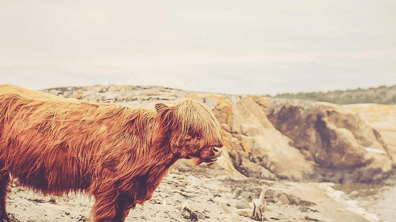 Table - professional stock photography