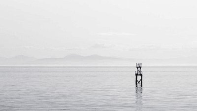 Table - professional stock photography