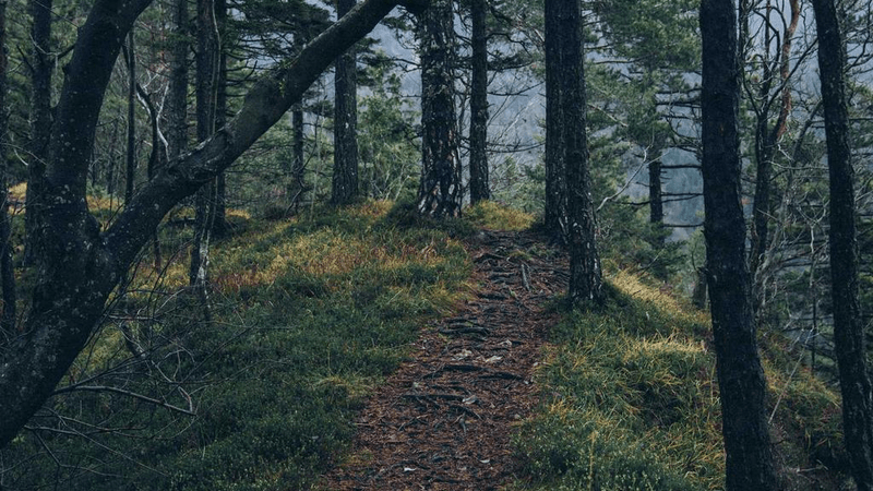 Table - professional stock photography