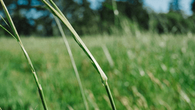 Table - professional stock photography