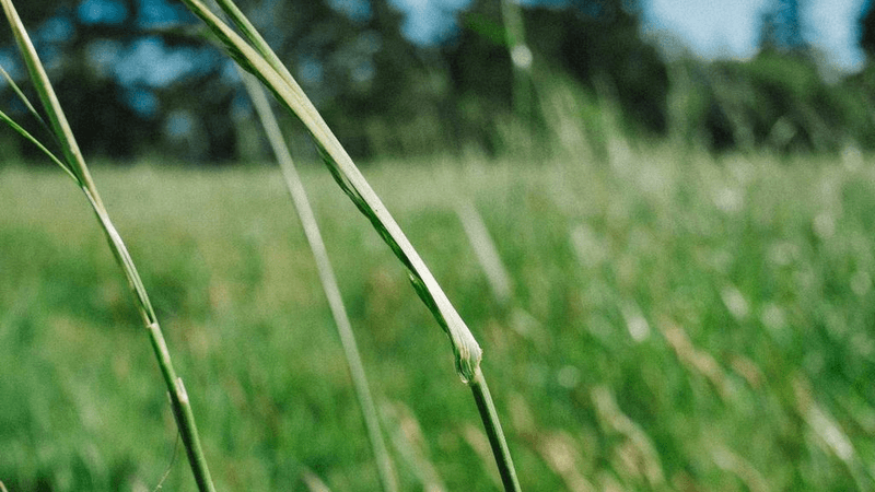 Table - professional stock photography