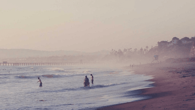 Vase - professional stock photography