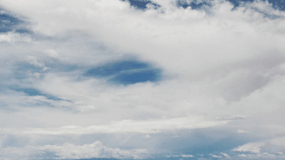 Vase - professional stock photography