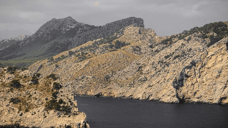 Wallpaper - professional stock photography